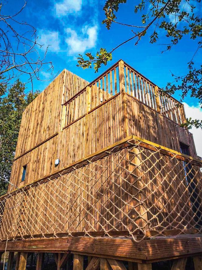 Ecologique Proche Ocean Holiday home Talais